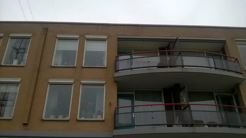 Ooievaar