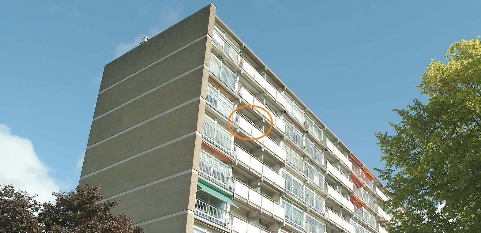 Berkenlaan
