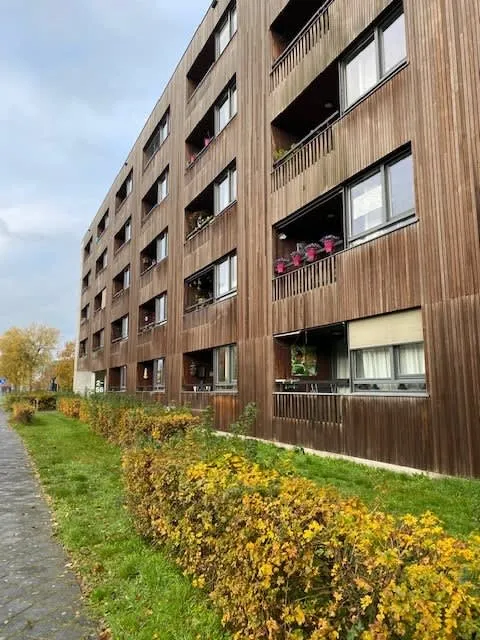 Vlindersingel