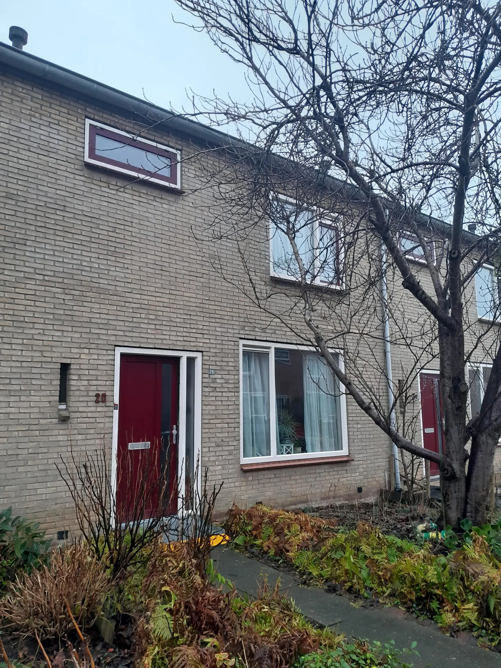 Lijsterstraat
