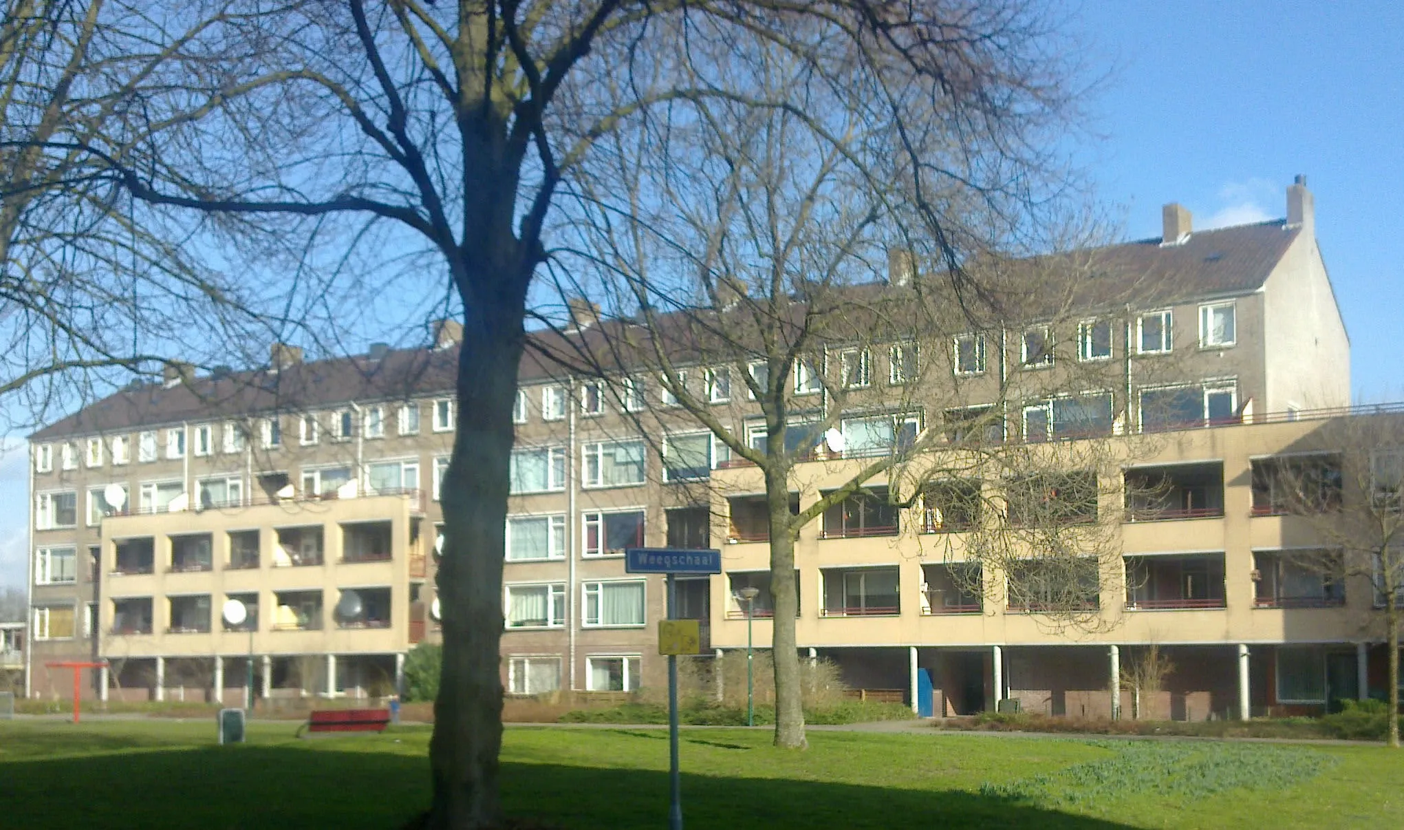 Schorpioen