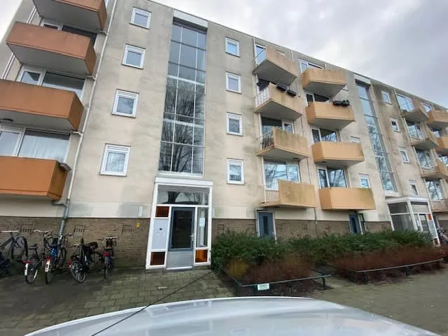 Schonauwensingel