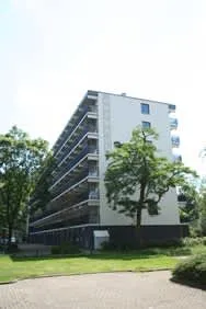 Asterstraat