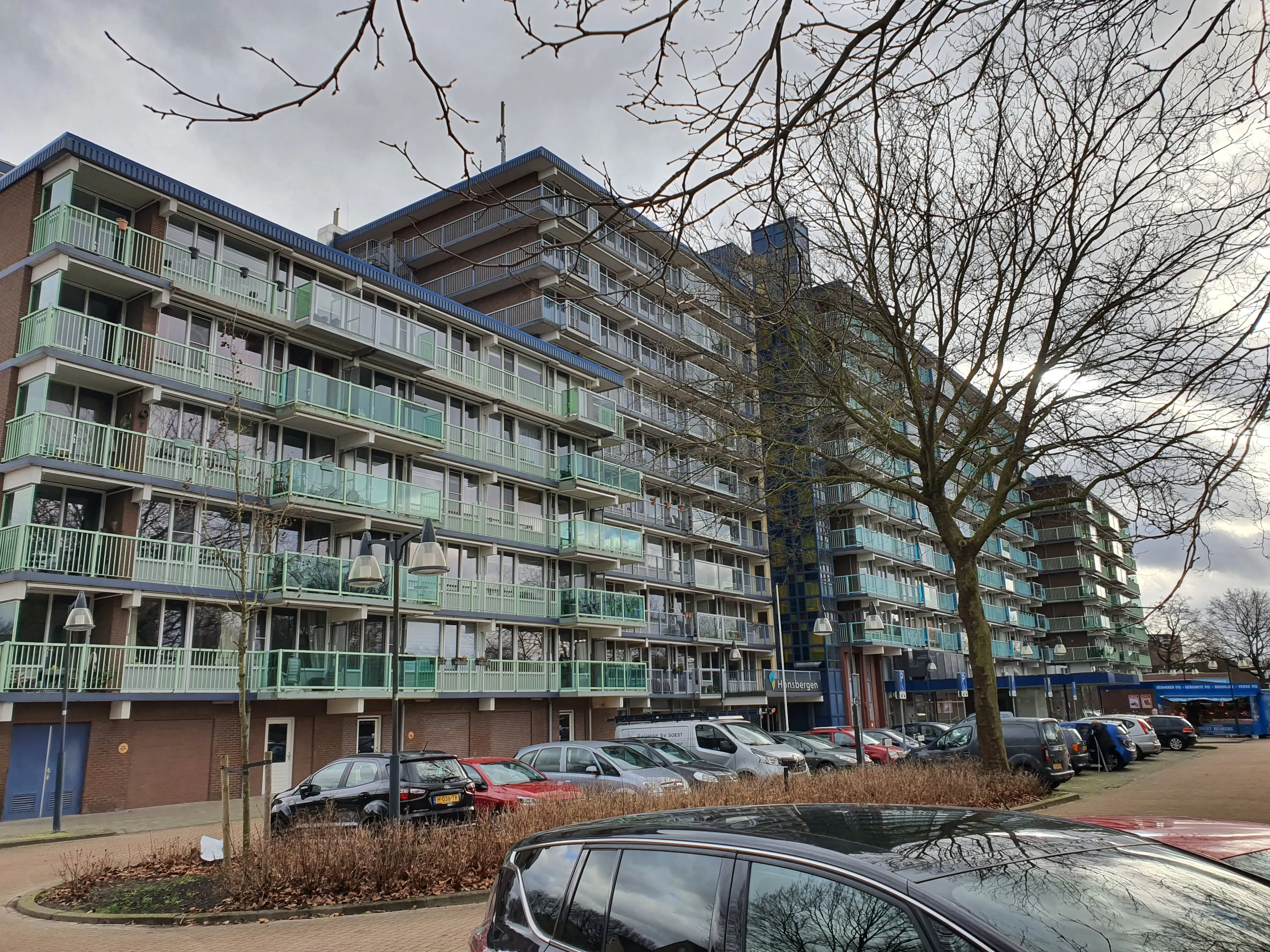 Wiardi Beckmanstraat