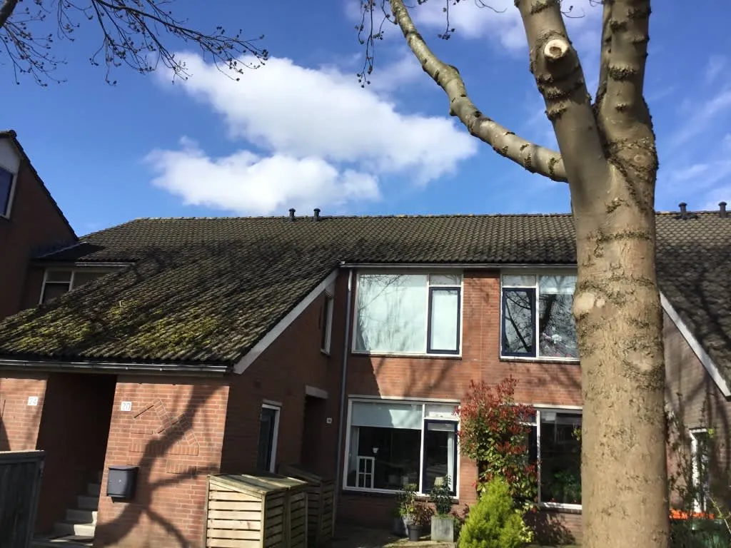 Jaap de Jongstraat