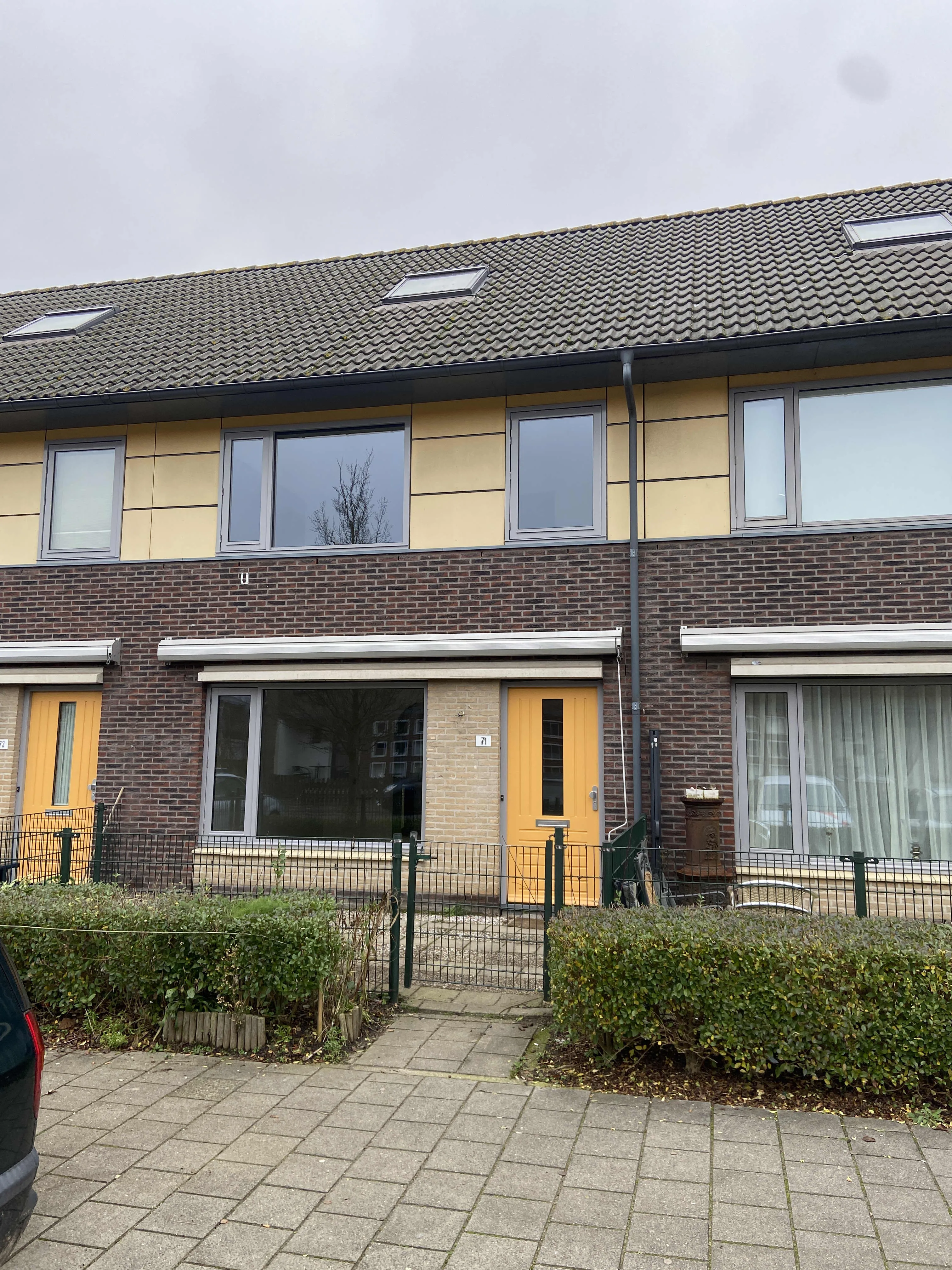 Kotterstraat