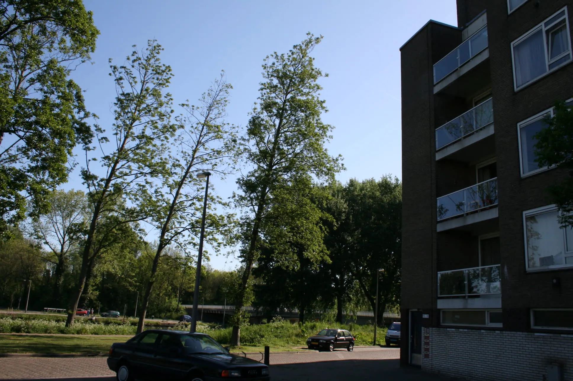 Vechtplantsoen