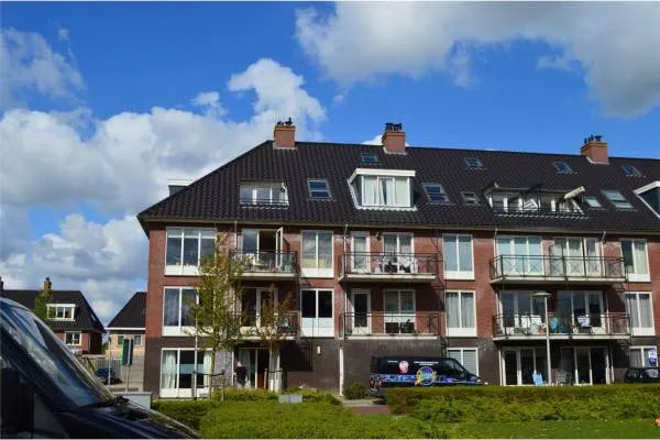 Groene Kikker