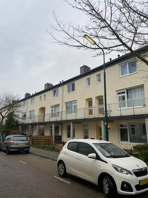 Gerard Terborchstraat