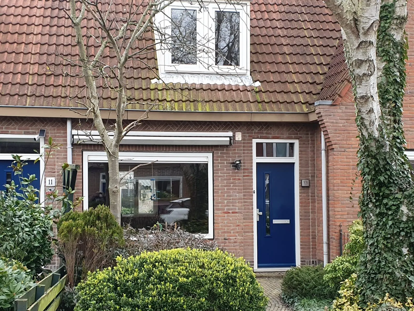Van Baerlestraat
