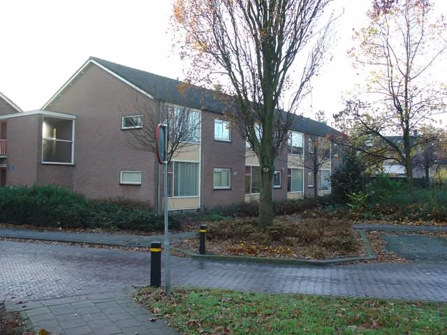 Dreef