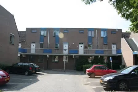 Rinkelaarwerf