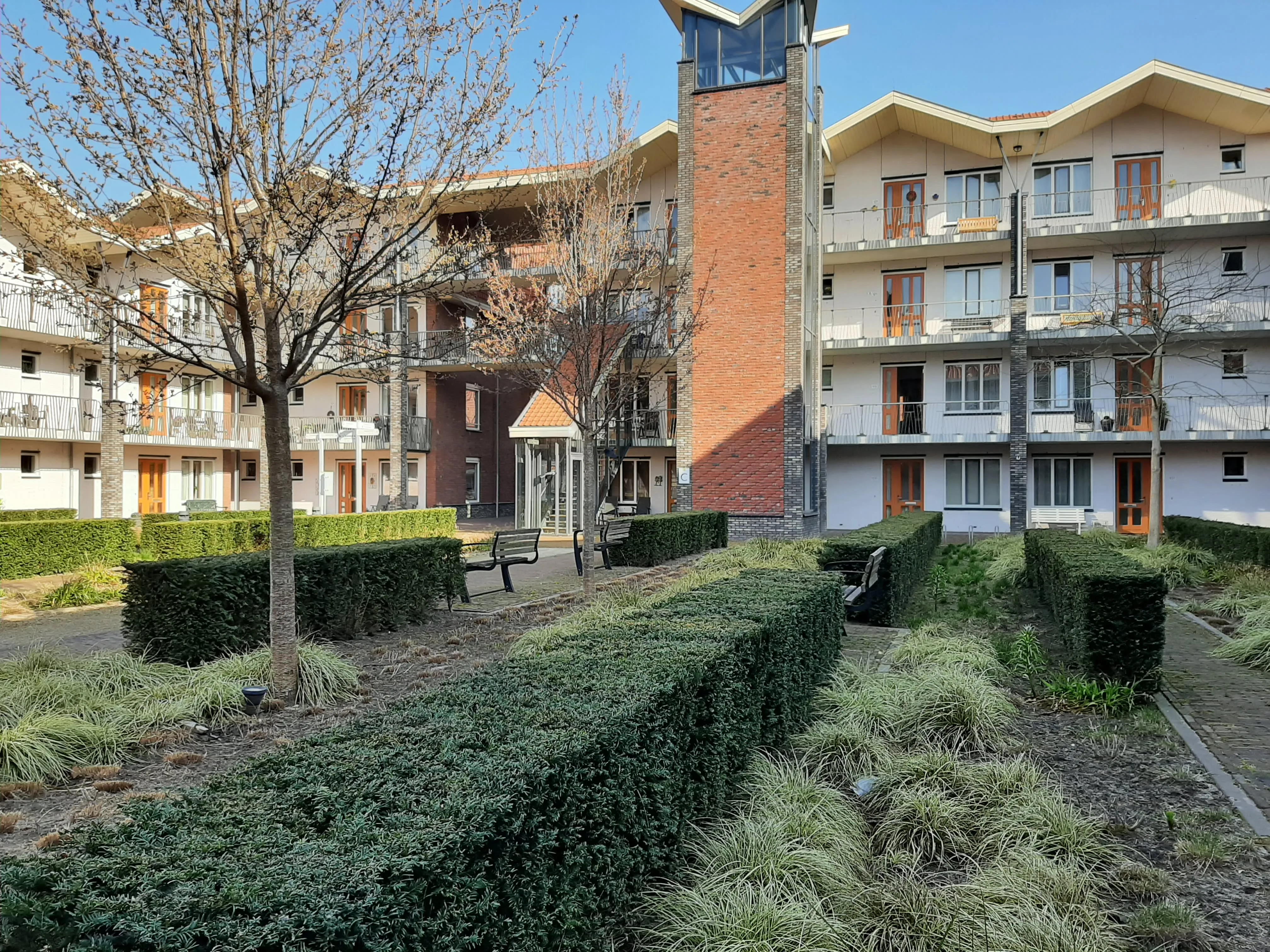 Fuchsiastraat