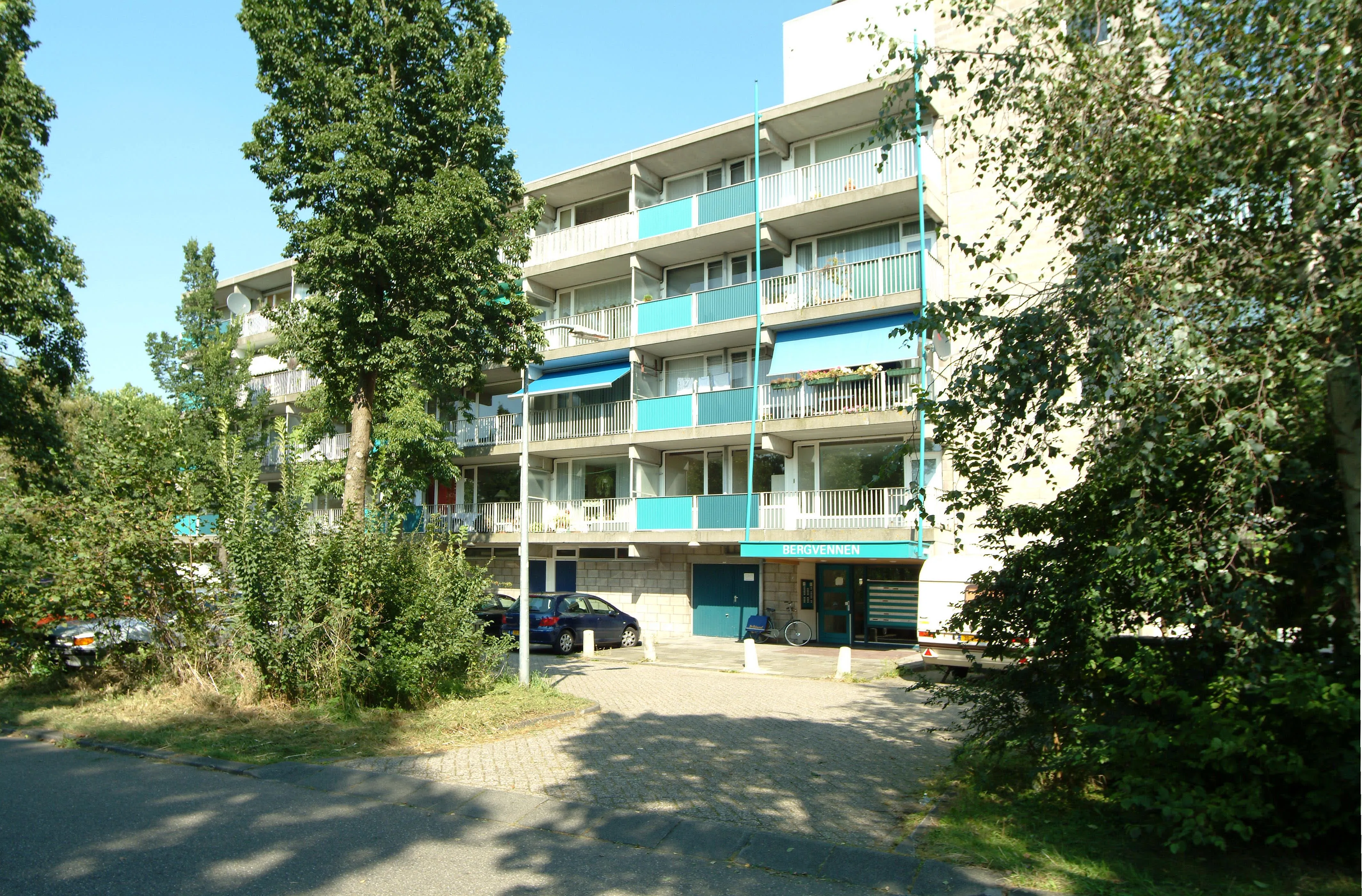 Bergvennen