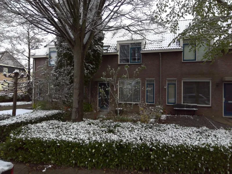 Maasstraat
