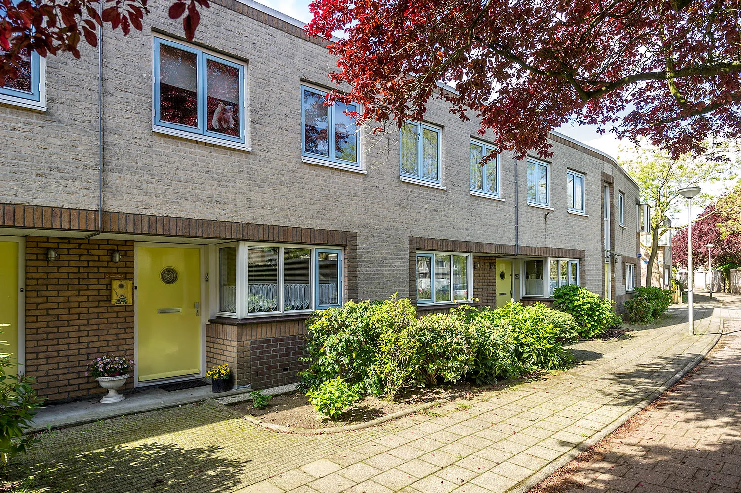 Eikebladvlinder