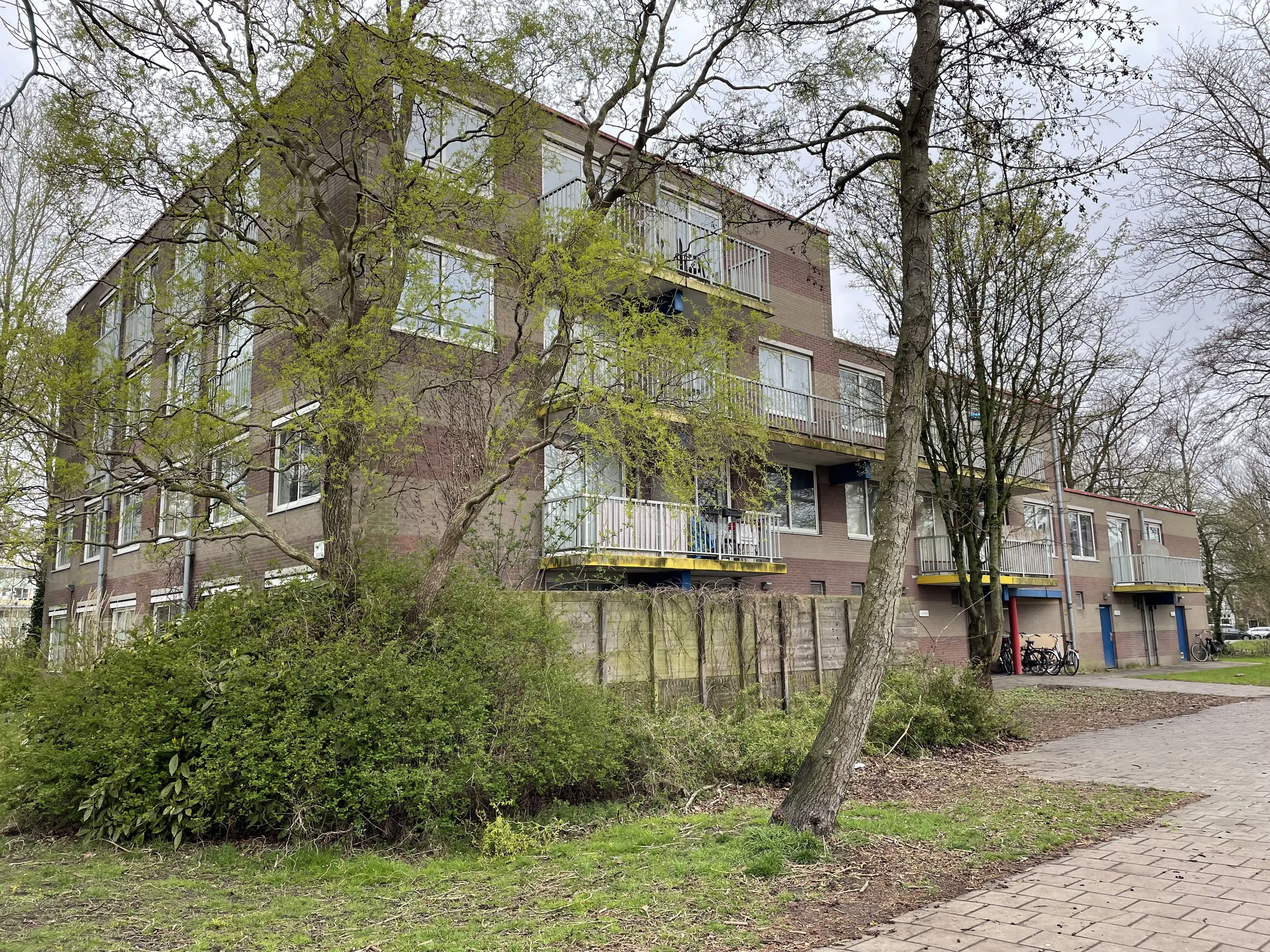 Ds. Martin Luther Kingweg