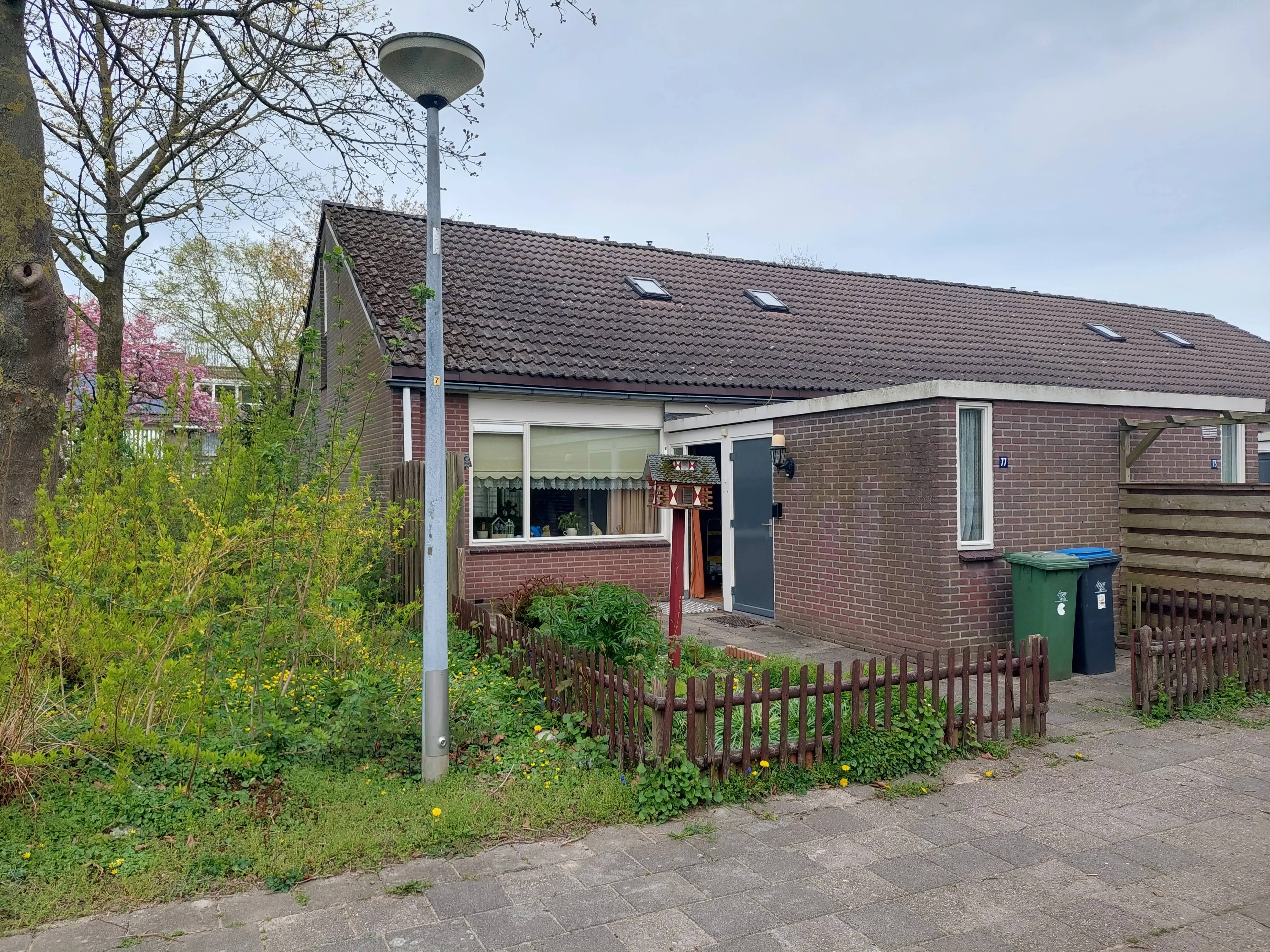 de Pleijt