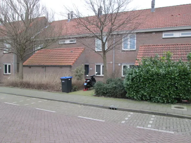 Kalf
