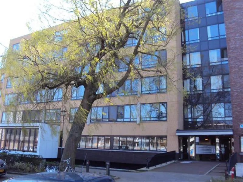 De Angstel