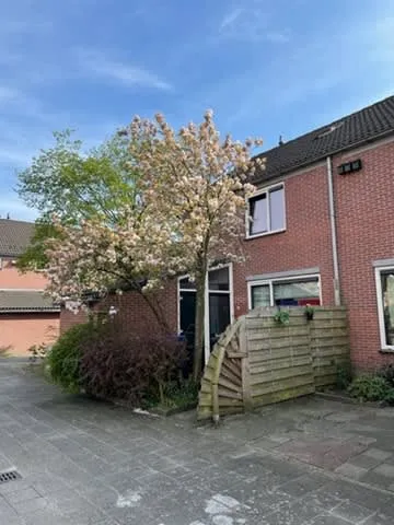 Zeggemeent