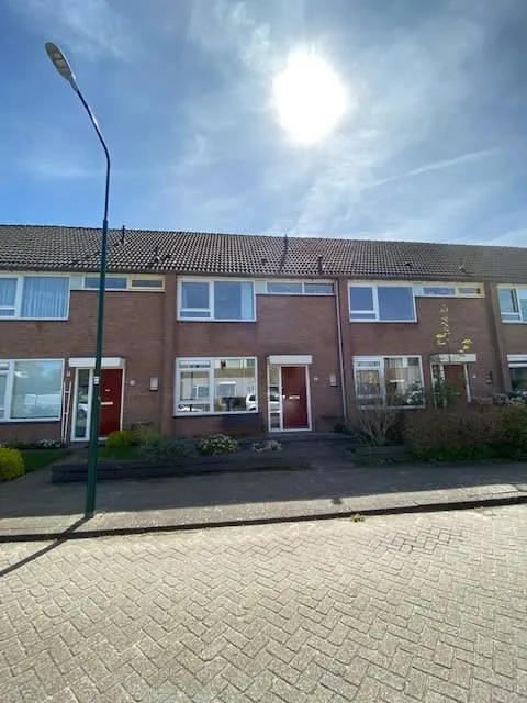 't Woerel
