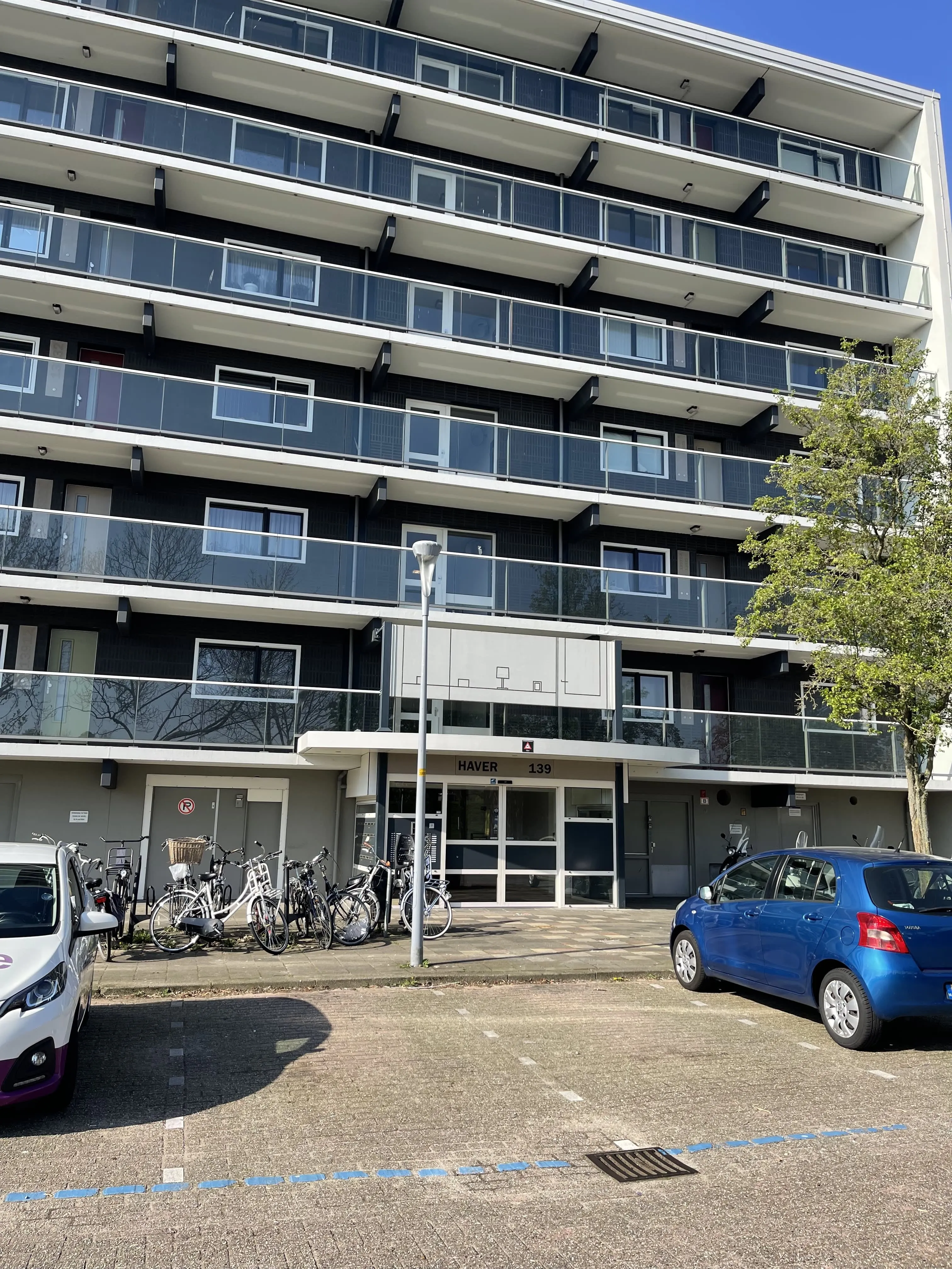 Graan voor Visch