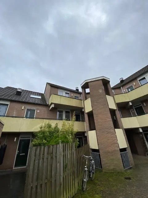 Accordeonlaan