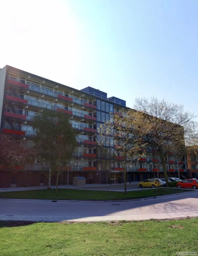 IJsvogelplein