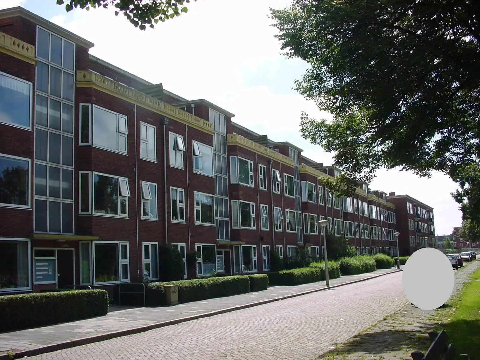 Pioenstraat