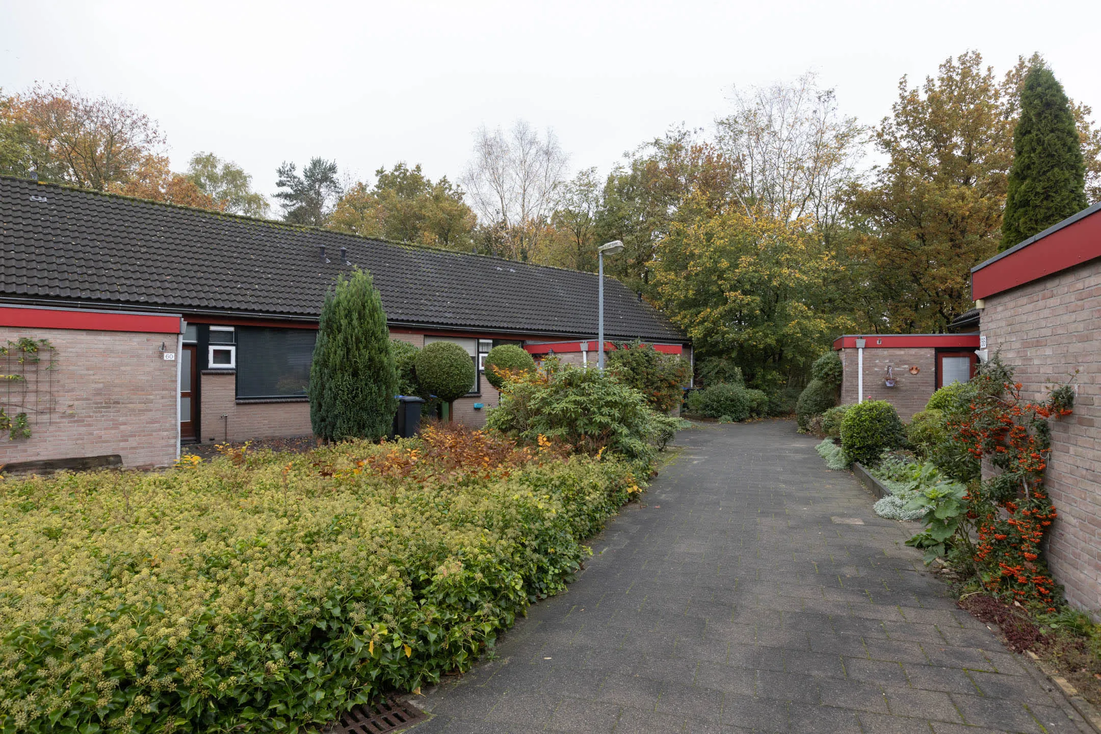 Van Speijklaan
