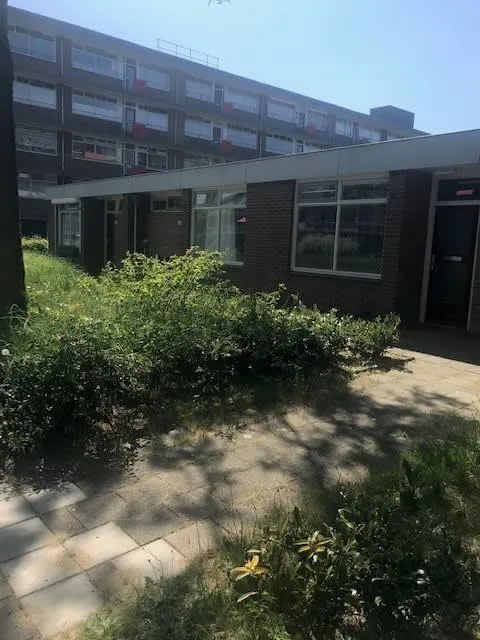 Rooseveltweg