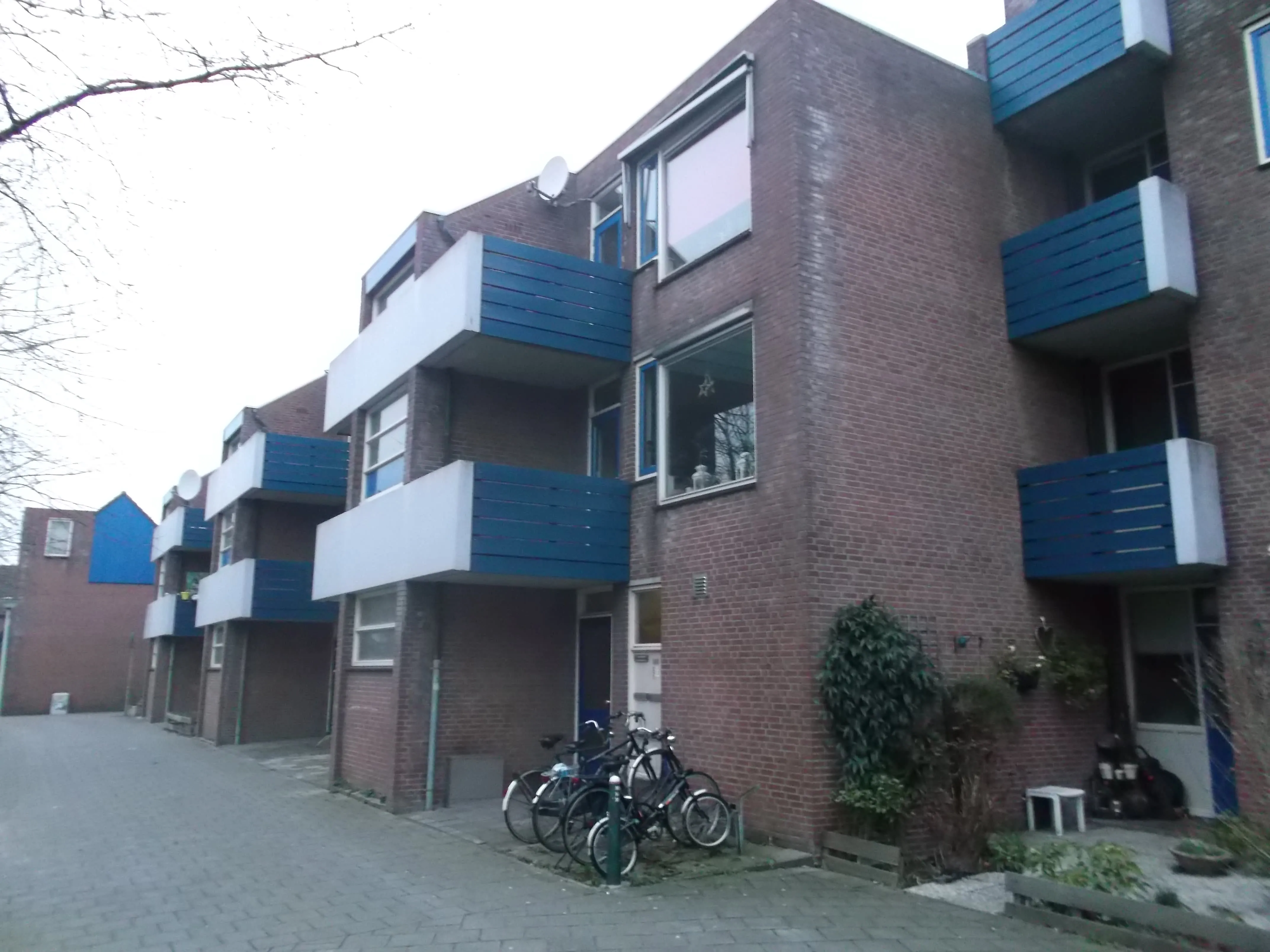 Leoniden