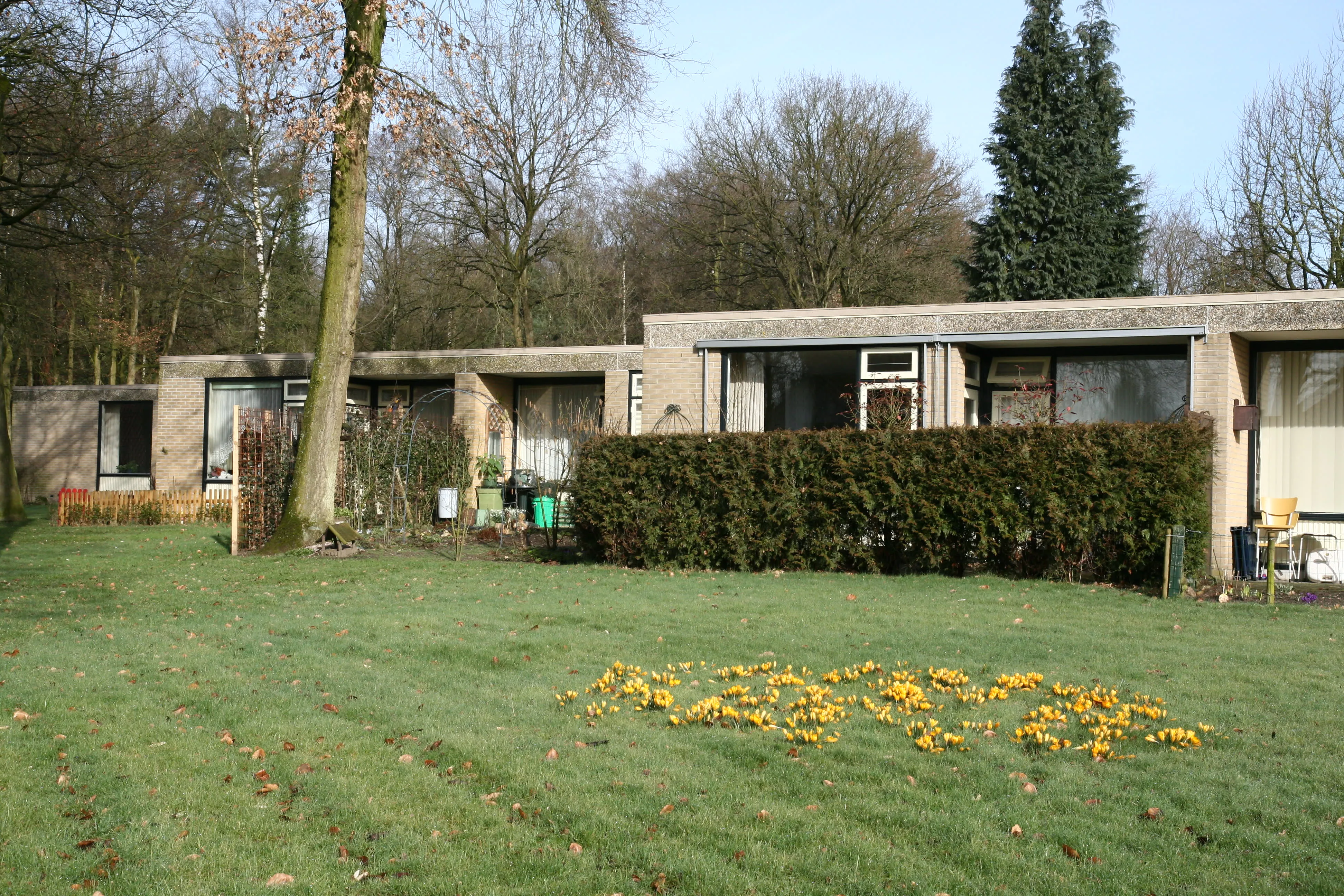 Kwartellaan