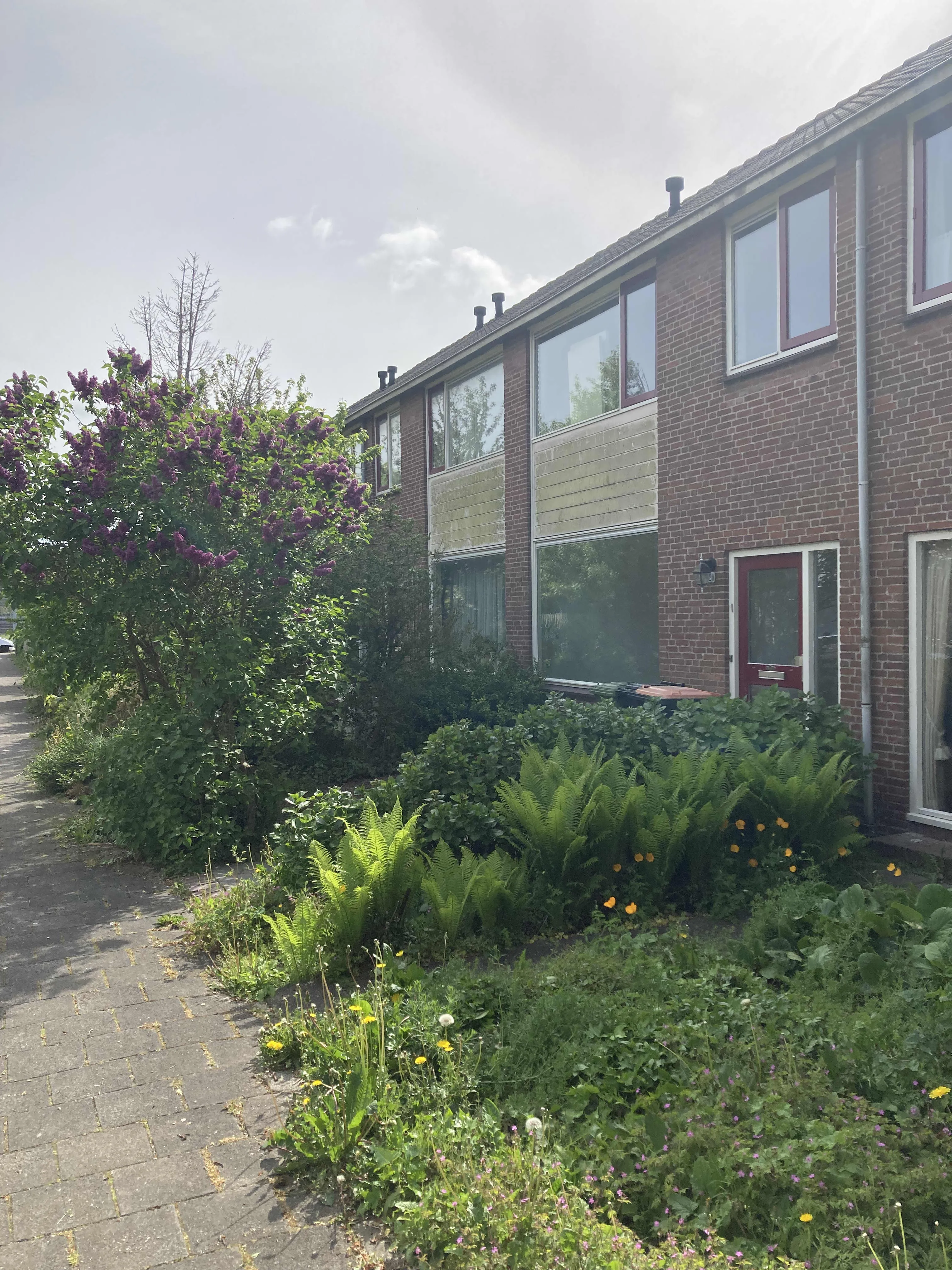 Watermuntstraat