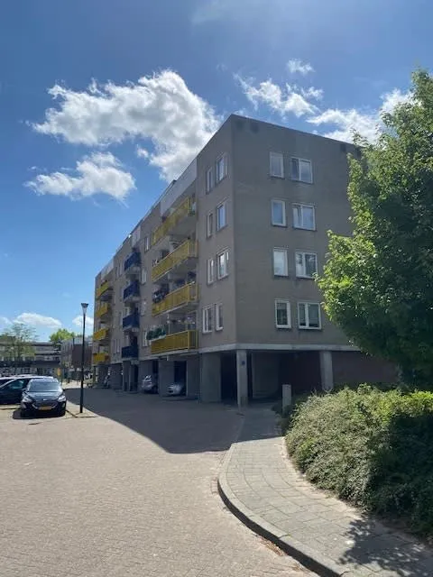 Bisonspoor