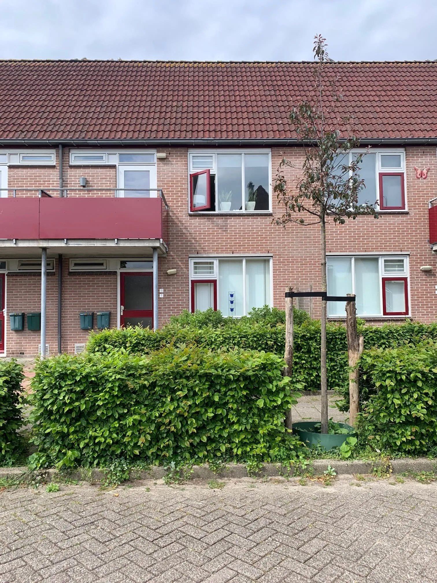 A C M Muskeijnplantsoen