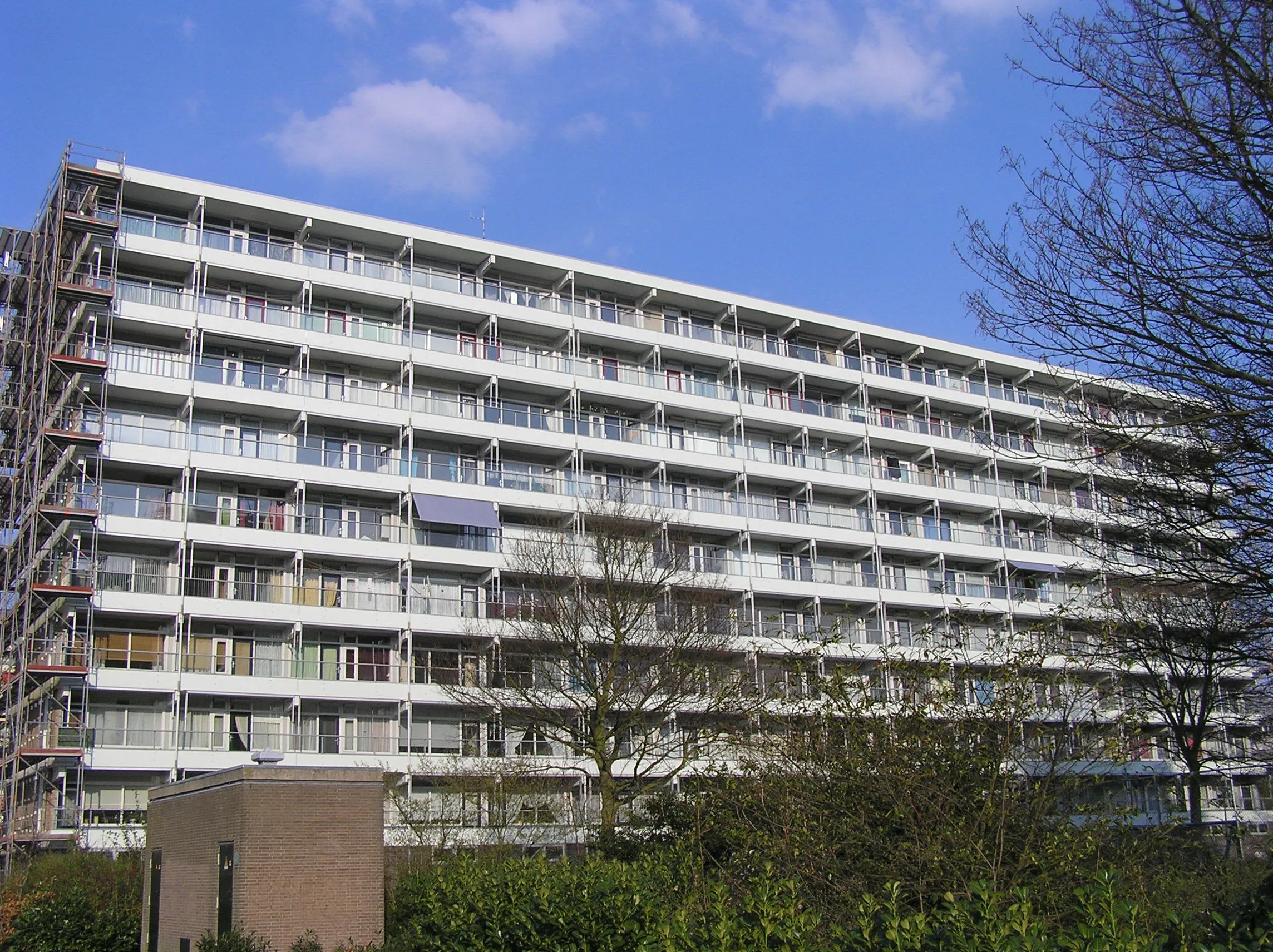 de Esdoorn