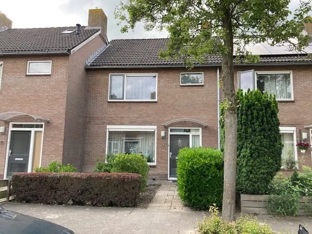 Griffioen