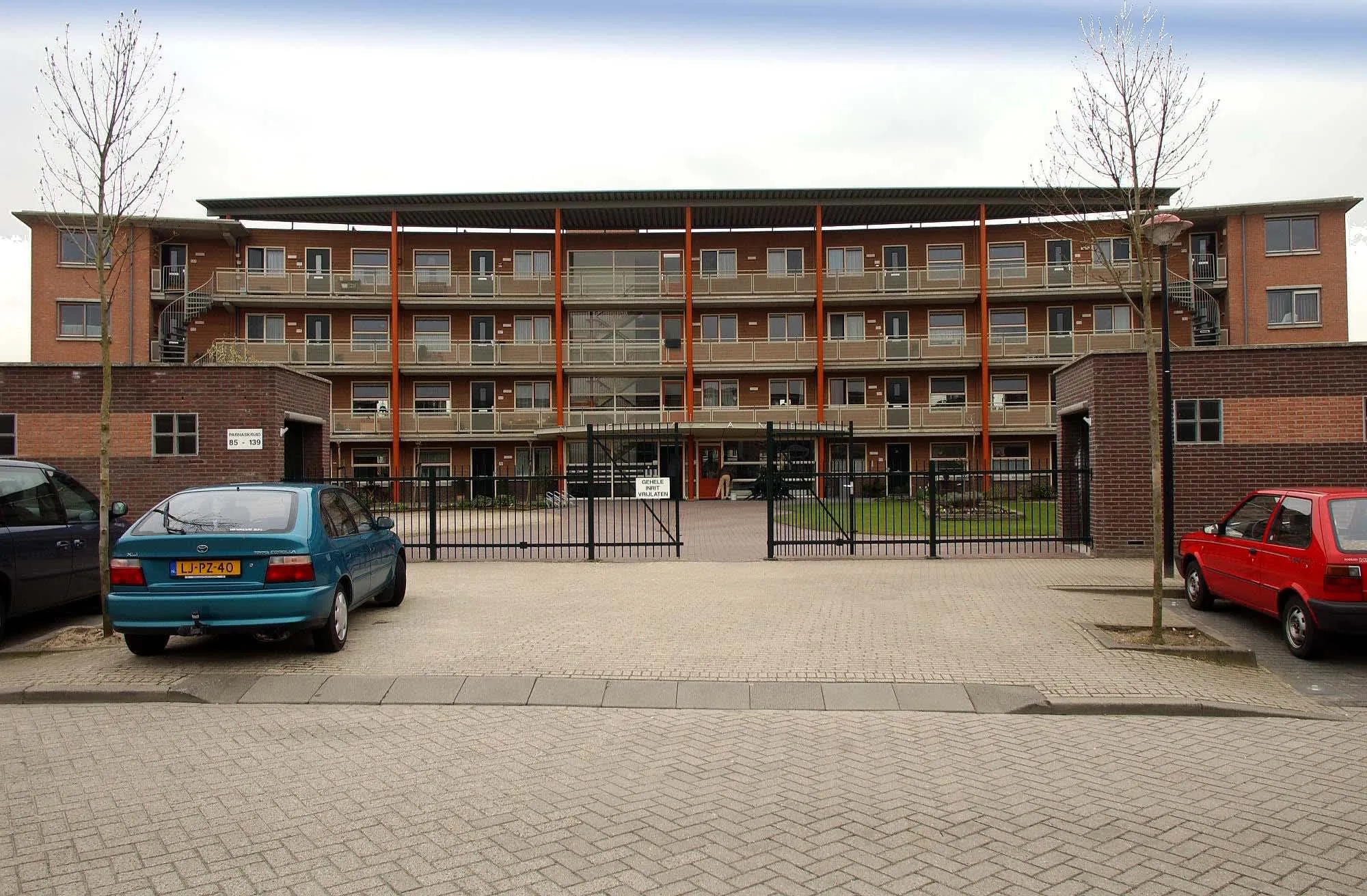 Parnaskruid