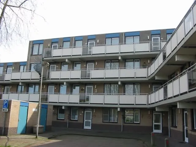 Zilverschoonstraat