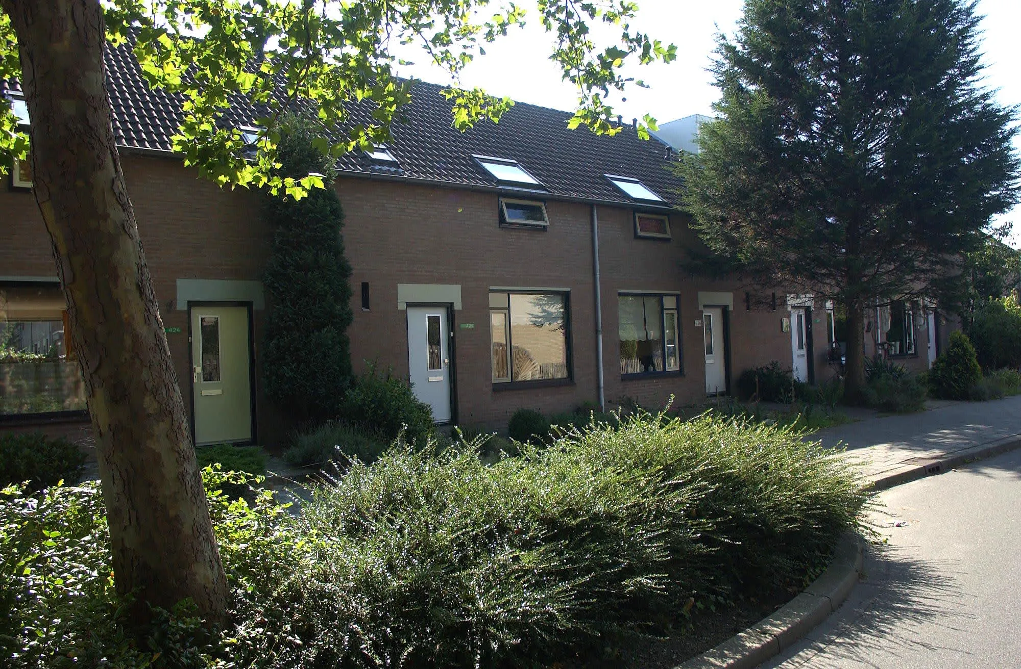 Reigerskamp