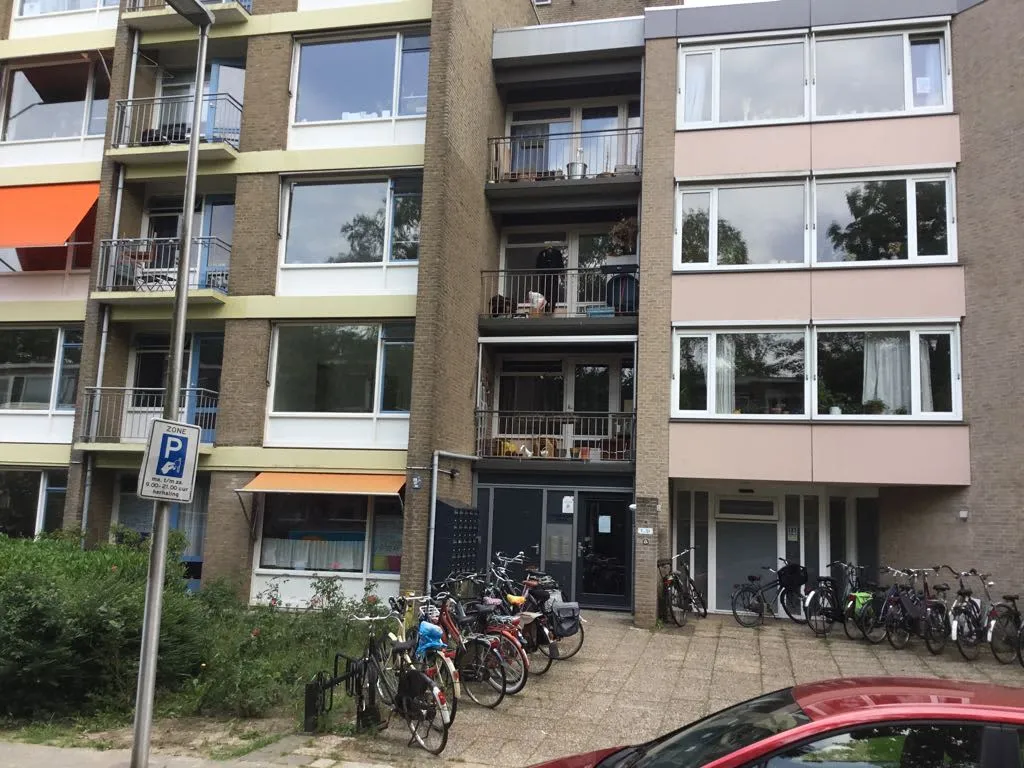 Ornsteinsingel