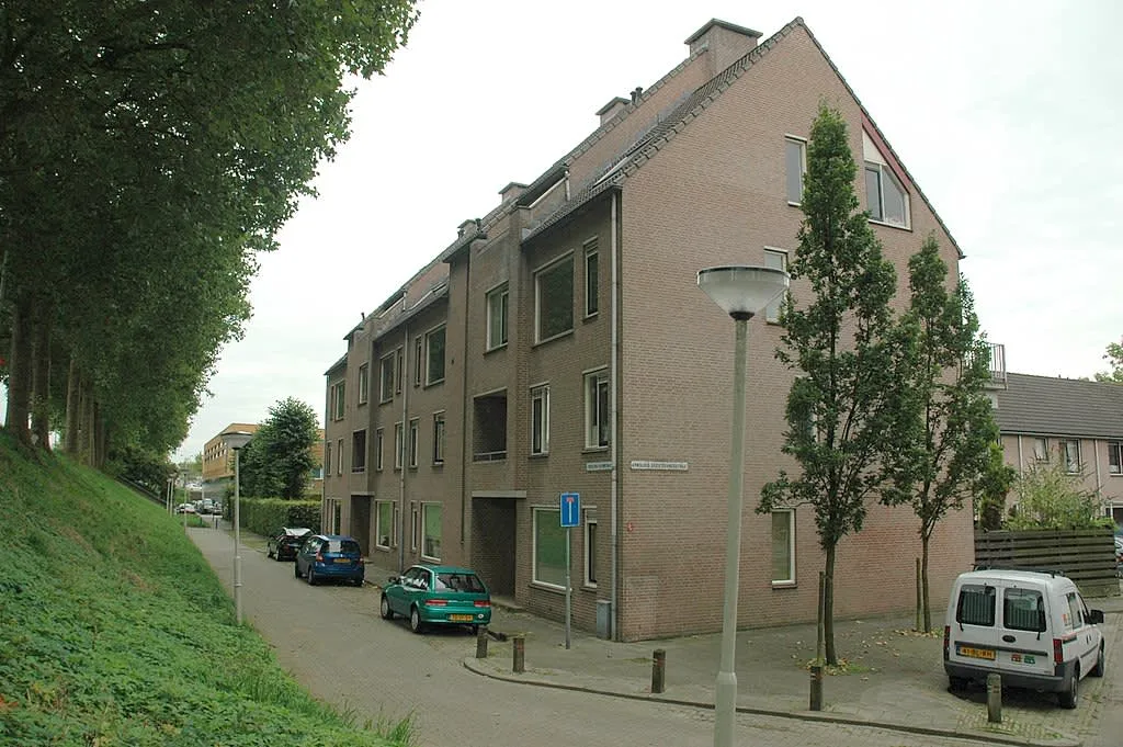Theodorus Boomstraat