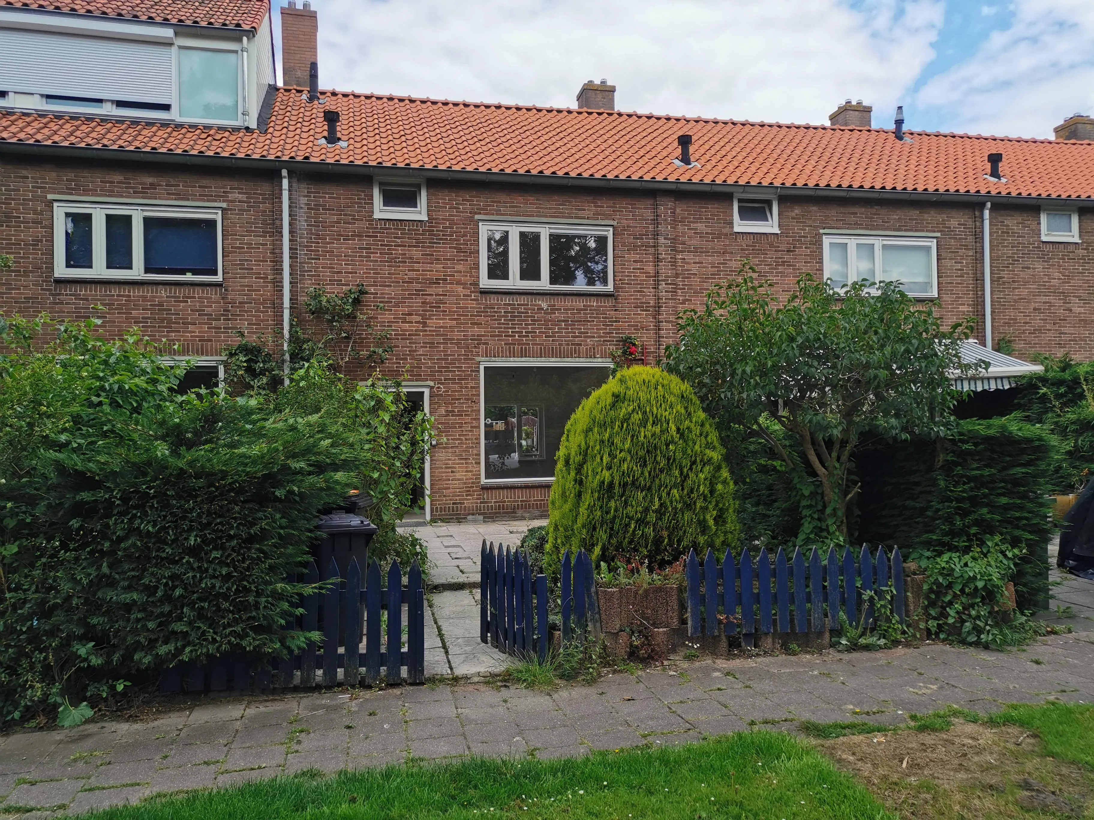 Rijstvogelstraat