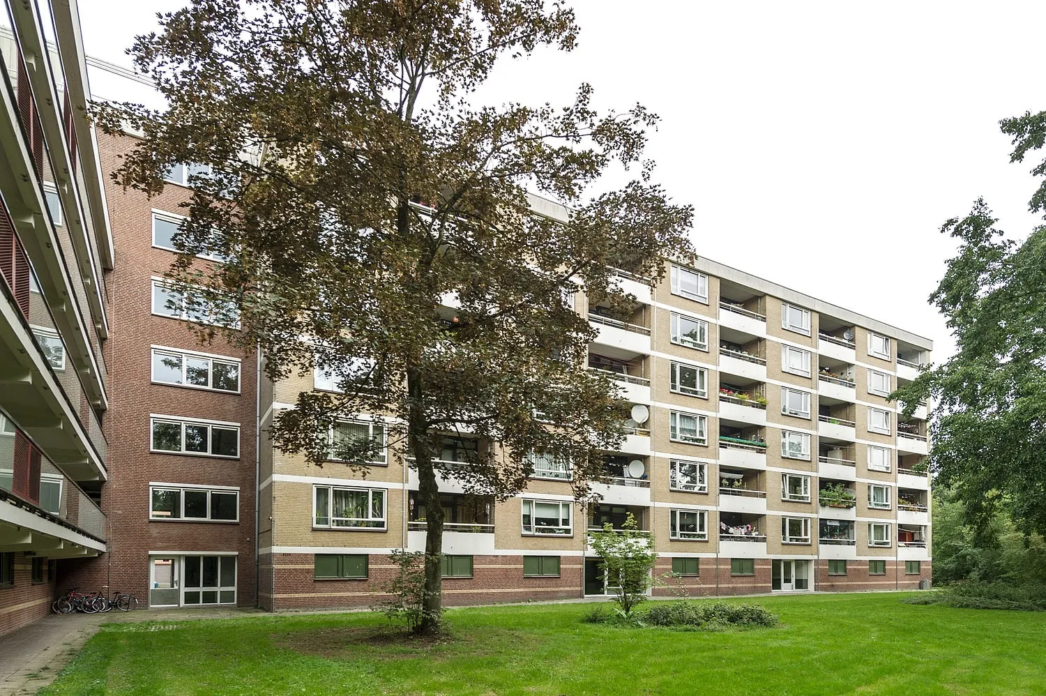 Arendshorst 125 3815VM Amersfoort