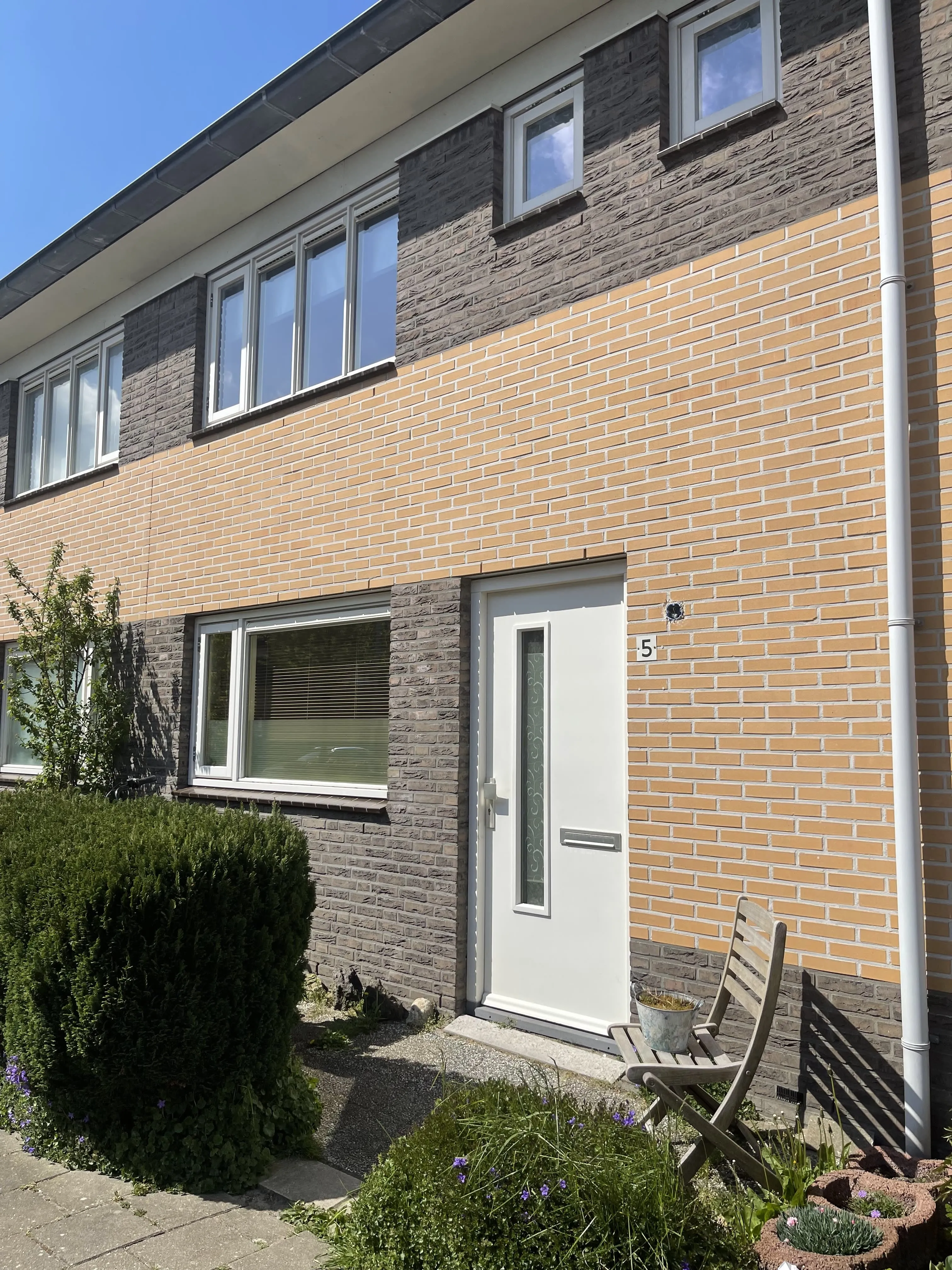 Ribesstraat