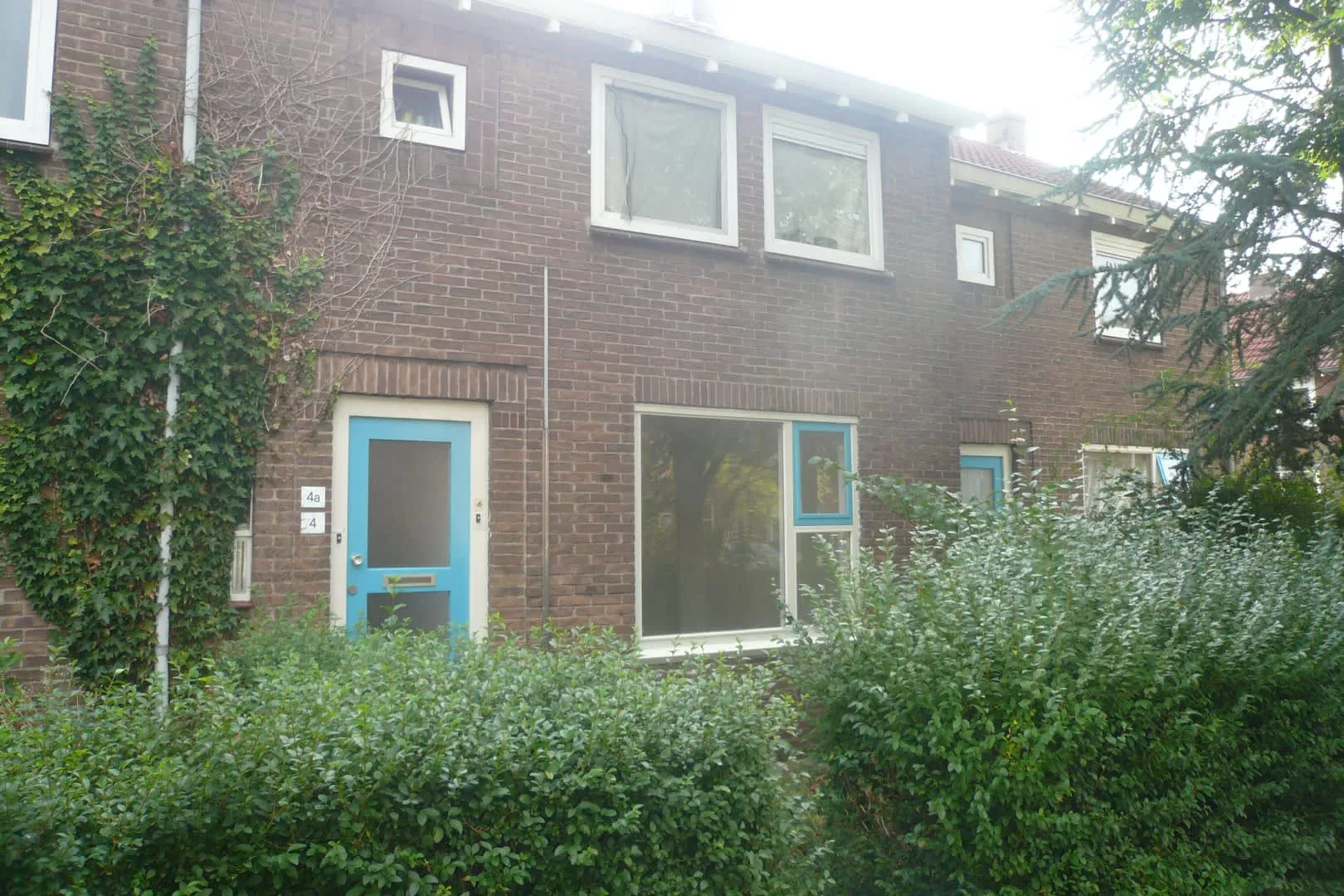 Irisstraat