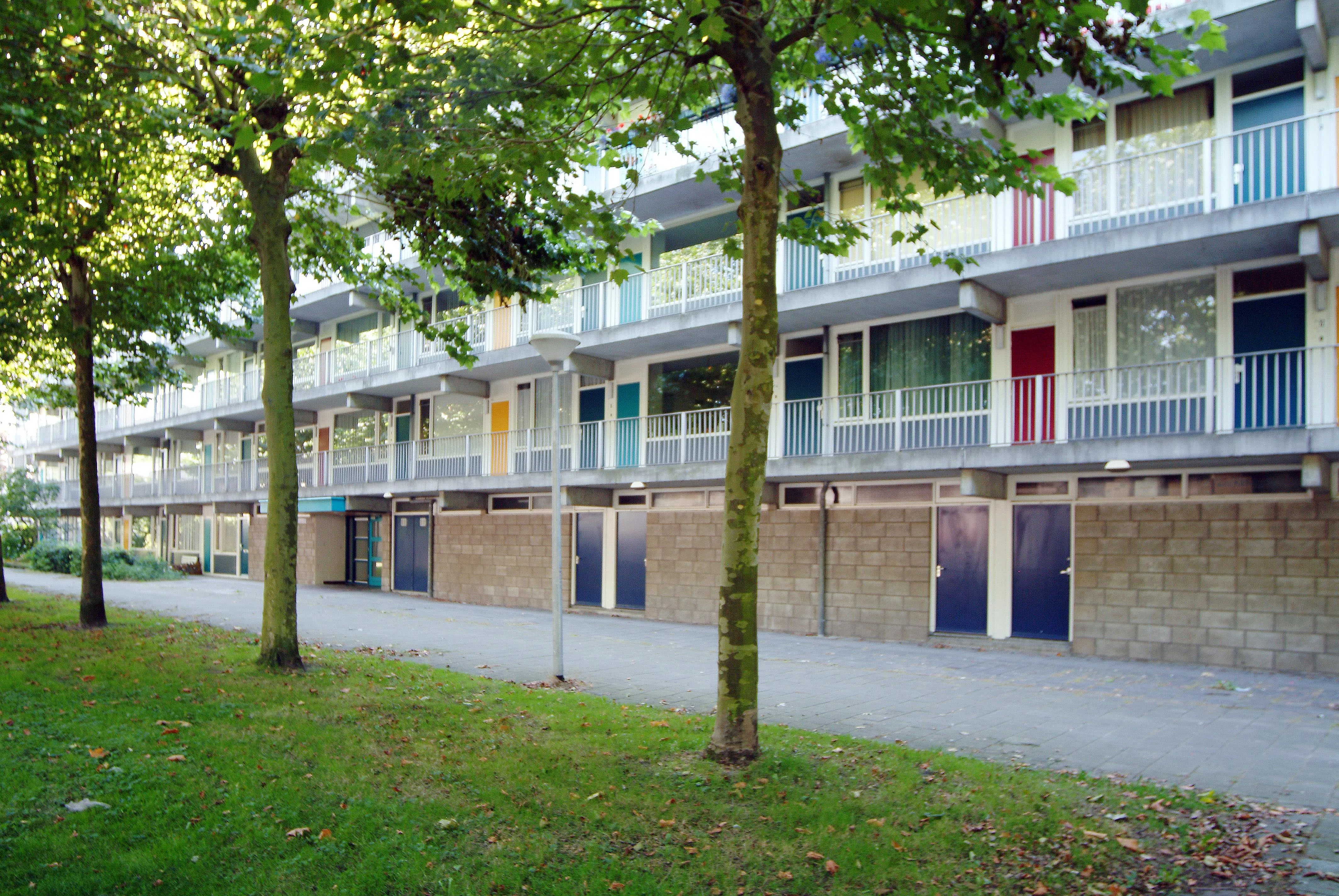 Bergvennen