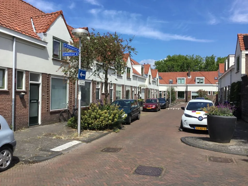 Olijfboomstraat